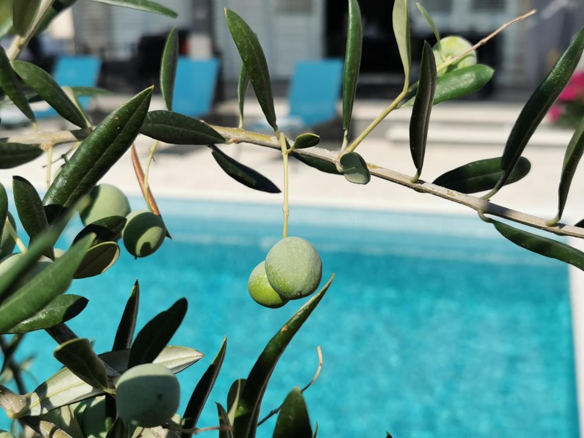 שיבניק Villa Sundowner מראה חיצוני תמונה
